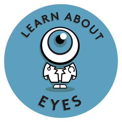 How to Present a Patient to Your Attending | LearnAboutEyes